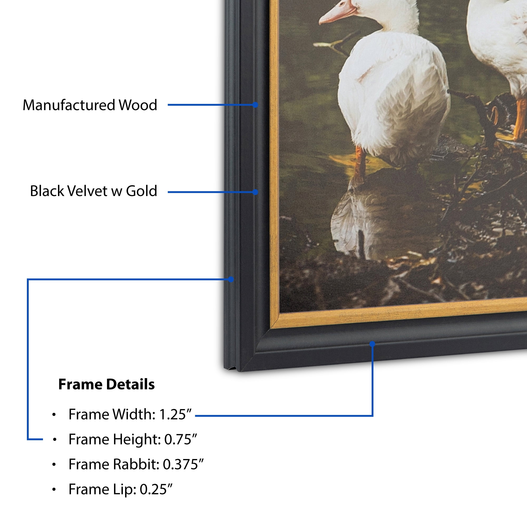 ArtToFrames 20" x 20" Black Velvet with Gold - 1.25 Picture Frame, 20x20 inch Black MDF Poster Frame (WOM-4690),  Pack