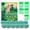Green, variant on Balls Indoor Outdoor Cat Deterrent, Mint-Infused Repellent Balls to Keep Cats Out of Yard Furniture Garden Patio, Long-Lasting Scent Protection