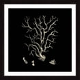 thumbnail image 2 of "Black & Tan Coral I" Framed Painting Print, 2 of 6