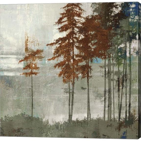 Spruce Woods II by Posters International Studio, Canvas Wall Art