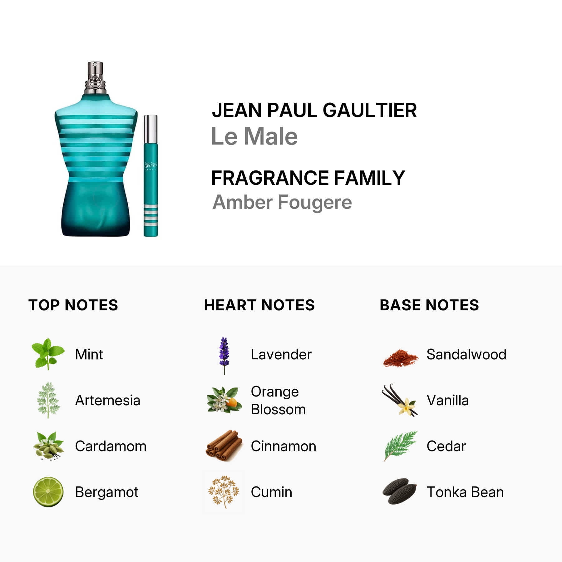 Jean Paul Gaultier, Le Male Eau De Toilette, 4.2 Oz Spray