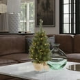 thumbnail image 2 of Vickerman 24" Felton Pine Artificial Christmas Tree, Unlit, 2 of 2