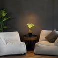 thumbnail image 5 of Lampara De Noche Tipo Palmera Con Luz Led Y Piedras Decorativas, 5 of 5