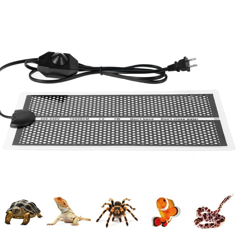 Best Heat Mat For Snakes corona.dothome.co.kr