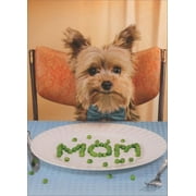 Avanti Press Dog Spells Mom With Peas Funny / Humorous Mother's Day Card