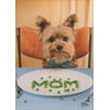 Avanti Press Dog Spells Mom With Peas Funny / Humorous Mother's Day Card