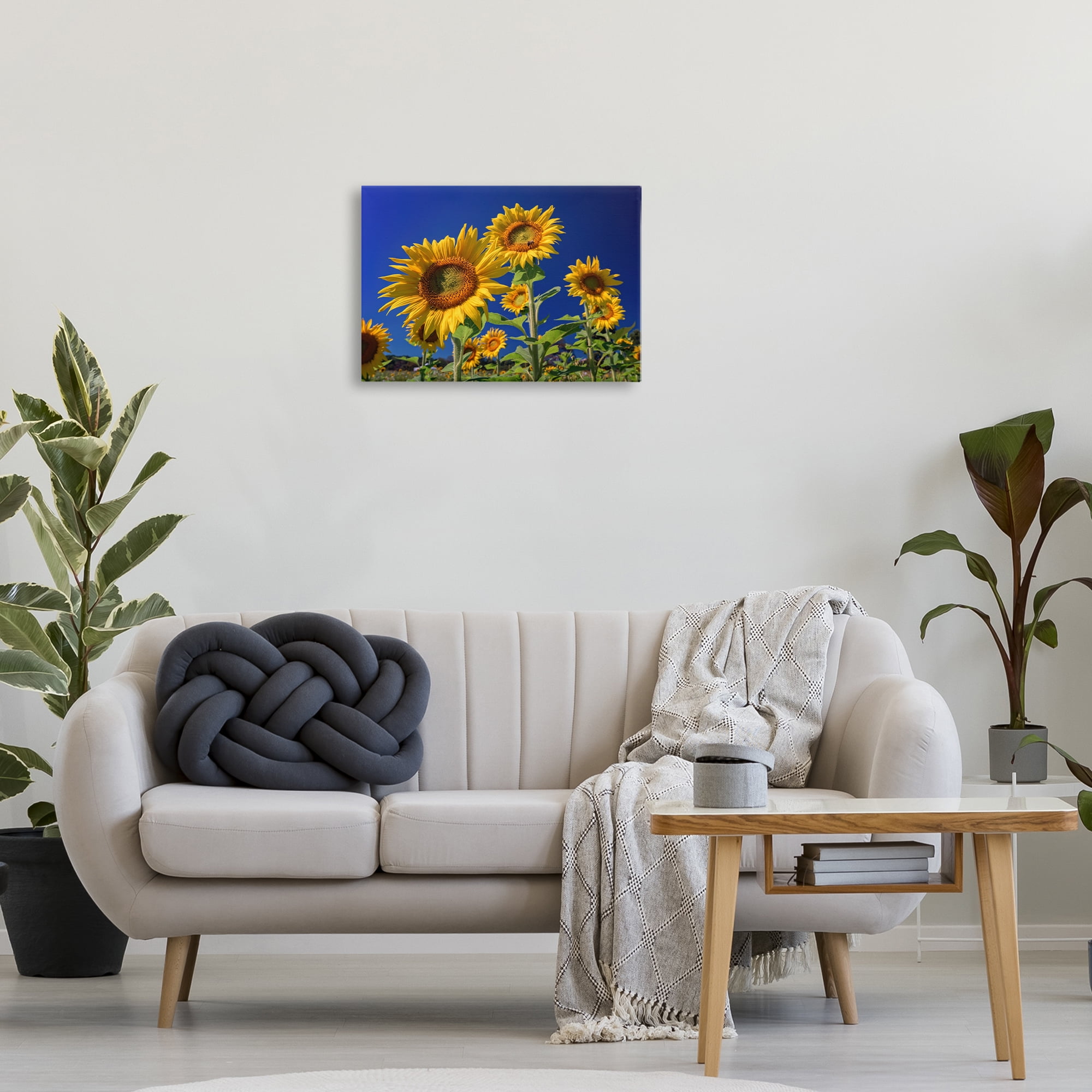 Stupell Industries Bright Sunflowers with Blue Sky Plants & Flowers Photography Wrapped Canvas Art Print Wall Art, 24 x 16