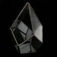 thumbnail image 3 of Glass Geometric Terrarium Planter Fern, 3 of 8