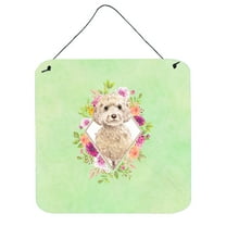 Carolines Treasures CK4406DS66 Champagne Cockapoo Green Flowers Wall or Door Hanging Prints 6x6 multicolor