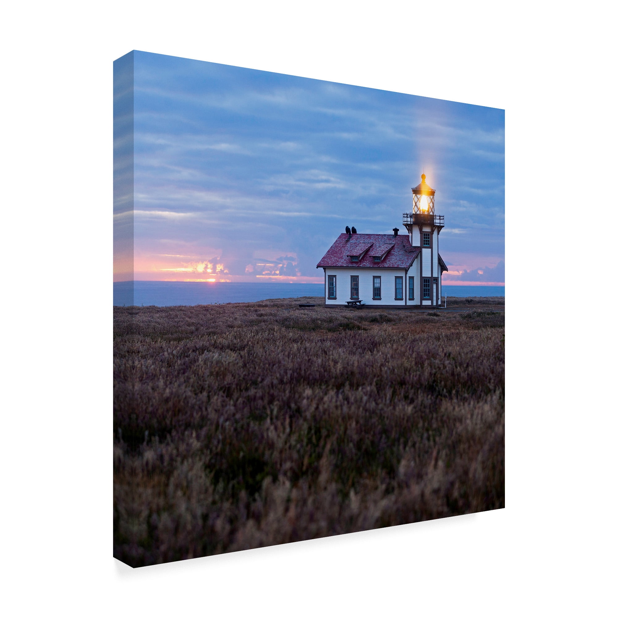 Trademark Fine Art 'Point Cabrillo Light Station' Canvas Art by Lance Kuehne