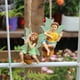 thumbnail image 4 of Fiudx Conjunto de Flores de Piña Luminosas, Decoración de Resina para Exteriores, Adornos de Jardín Duraderos, Atracción para Aves, Diseño Inspirado En La Naturaleza, Decoración para Balcón o Jardín,, 4 of 7