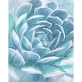 thumbnail image 2 of Murdock, Ramona 12x14 White Modern Wood Framed Museum Art Print Titled - Aqua Succulent, 2 of 4