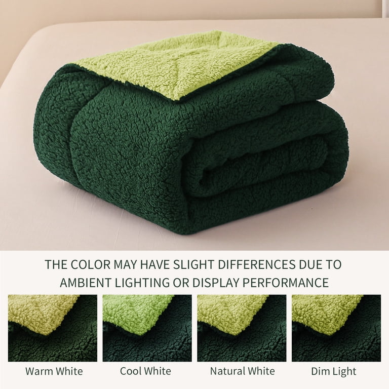 Exclusivo Mezcla 50" x 60" Reversible Sherpa Throw, Green photo 4