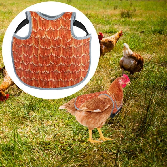 Funda protectora para silla de montar de pollos, delantal para pollos, gallinas, apareamiento, protector de espalda, delantal para gallinas, granjas, Naranja