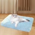 thumbnail image 4 of Pet Bed Mat 20x12in Thick Plush Soft Cat Dog Sleeping Mattress Non Slip Washable Removable Cover for Small Medium Pets All Season Home Kennel Crate, 4 of 5