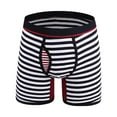 thumbnail image 2 of Lilgiuy Men's Striped Underwear Low Waisted Charming And Funny Mesh Boxer Underwear Briefs Pants Short Leg Health Underpants, 2 of 5
