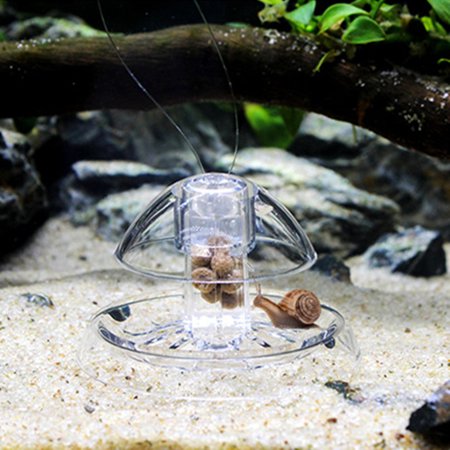 Snail Trap - Plastic Fish Tank Catcher Clear Snail Trap & Free Bait  to Catch the Snail for Aquarium Fish Plants Tank Planarian Leech (Best Snail For Planted Tank)