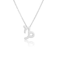 thumbnail image 4 of Constellation Theme Friendship Necklace Creative Comfortable Ins Exquisite Durable Rust-proof Lightweight Fashion Accessory Capricorn Silver, 4 of 6