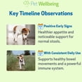 thumbnail image 3 of Pet Wellbeing Ultimate Probiotic 9 Strains for Dogs with Prebiotics - Supports the Microbiome, Healthy Digestion, Immune System Support, FOS, 3 of 9