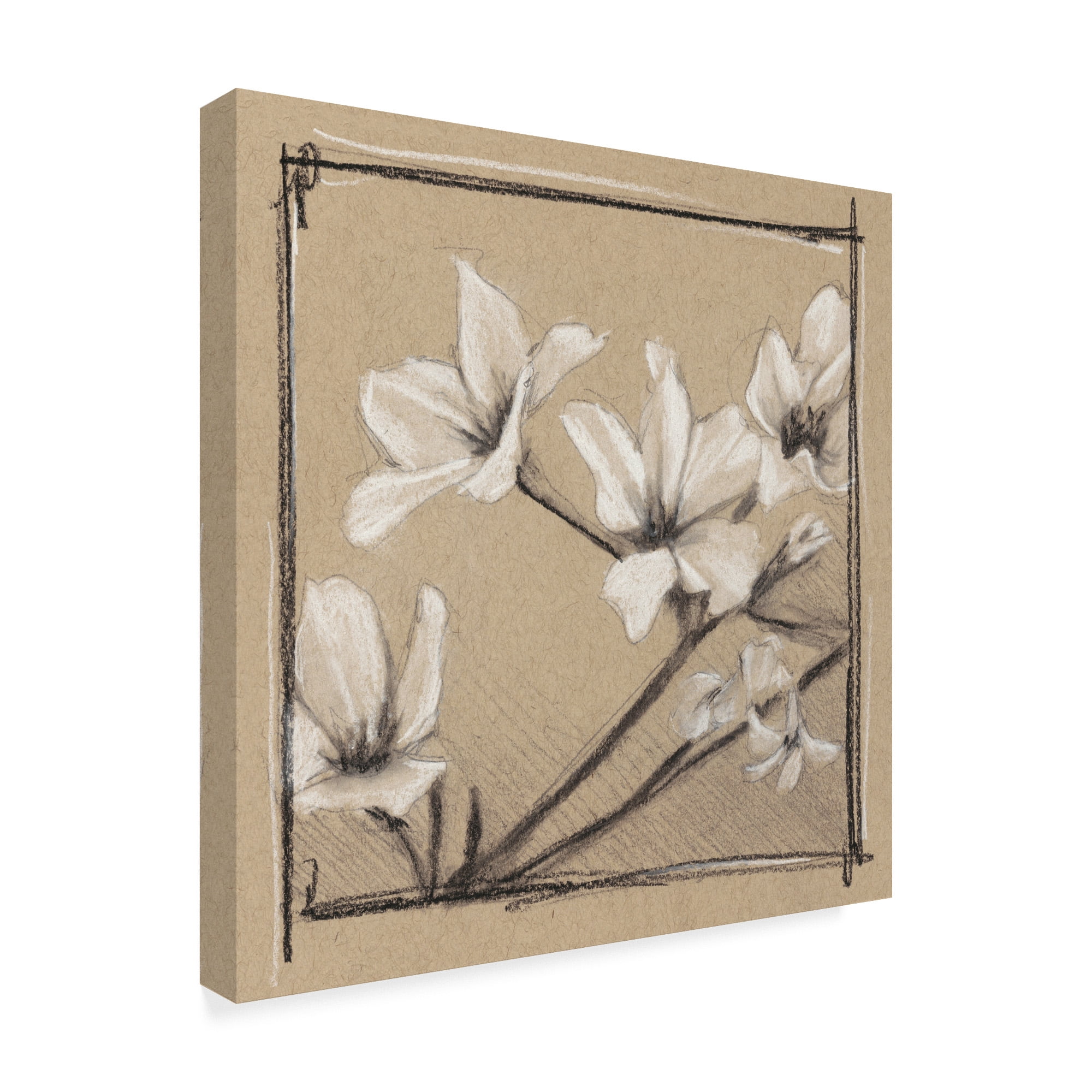 Trademark Fine Art 'White Floral Study I' Canvas Art by Ethan Harper