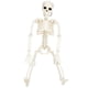 thumbnail image 2 of Human Body Toy Skeleton Decoration Joints Skeletons Model Small Skeleton Model Halloween Skeleton Props Horror Props Party, 2 of 2