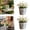 silver-s, variant on 2pcs Vintage Metal Flower Planter Buckets, Rustics Galvanized Plant Pots with Handles, Metal Rustics Plants Pots for Herbs & Succulents, Farmhouse Tin Containers for Garden, Bathroom & Yard