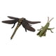 thumbnail image 3 of 4 Uds. Figuras Modelo De Insectos Animales Suministros Educativos Suministros Para Preescolar, 3 of 8