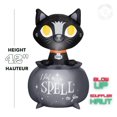 thumbnail image 2 of Halloween Inflatable Binx in Cauldron, 2 of 5
