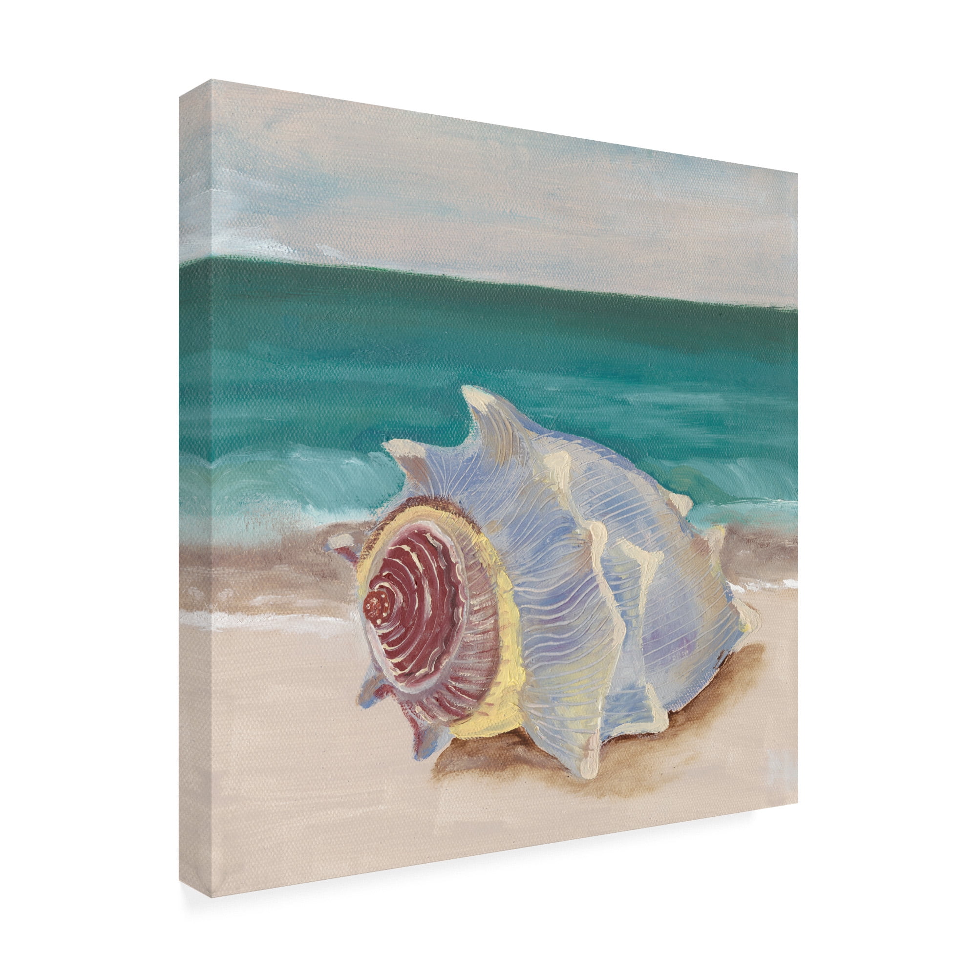 Trademark Fine Art 'She Sells Seashells Frame I' Canvas Art by Alicia Ludwig