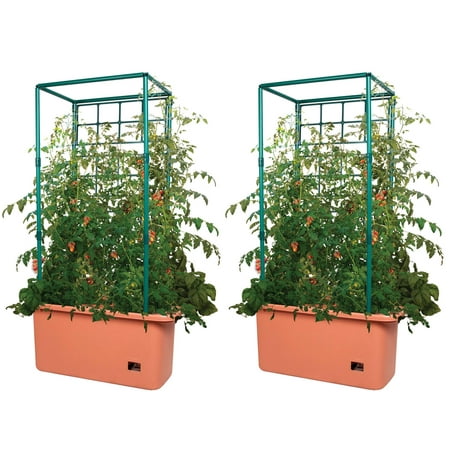Hydrofarm 10 Gallon Self Watering Tomato Trellis Garden on Wheels, Pair | (Best Hydroponic System For Tomatoes)