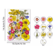 thumbnail image 3 of Paquete Flores Secas Naturales Prensadas Para Manualidades Modelo 1, Multicolor, 3 of 5
