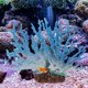 thumbnail image 3 of Planta de coral artificial de resina, decoración de arrecife de coral para pecera, acuario, paisaje., 3 of 8