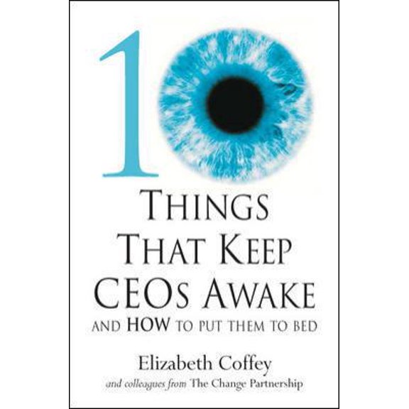 Pre-Owned 10 Things That Keep Ceos Awake: An How to Put Them to Bed (Hardcover) 0077099893 9780077099893