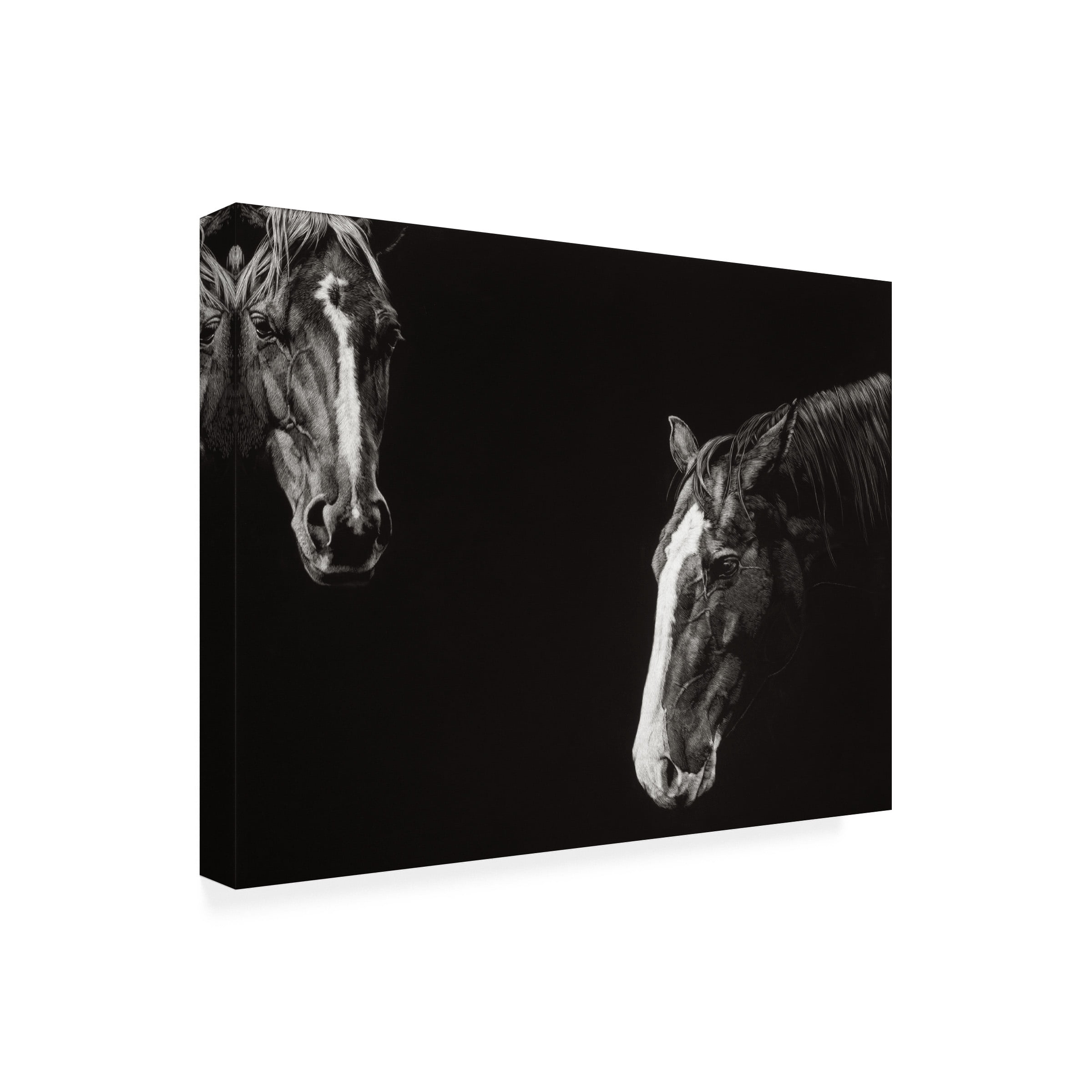 Julie T Chapman 'Cowboy Scratchboard III' Canvas Art