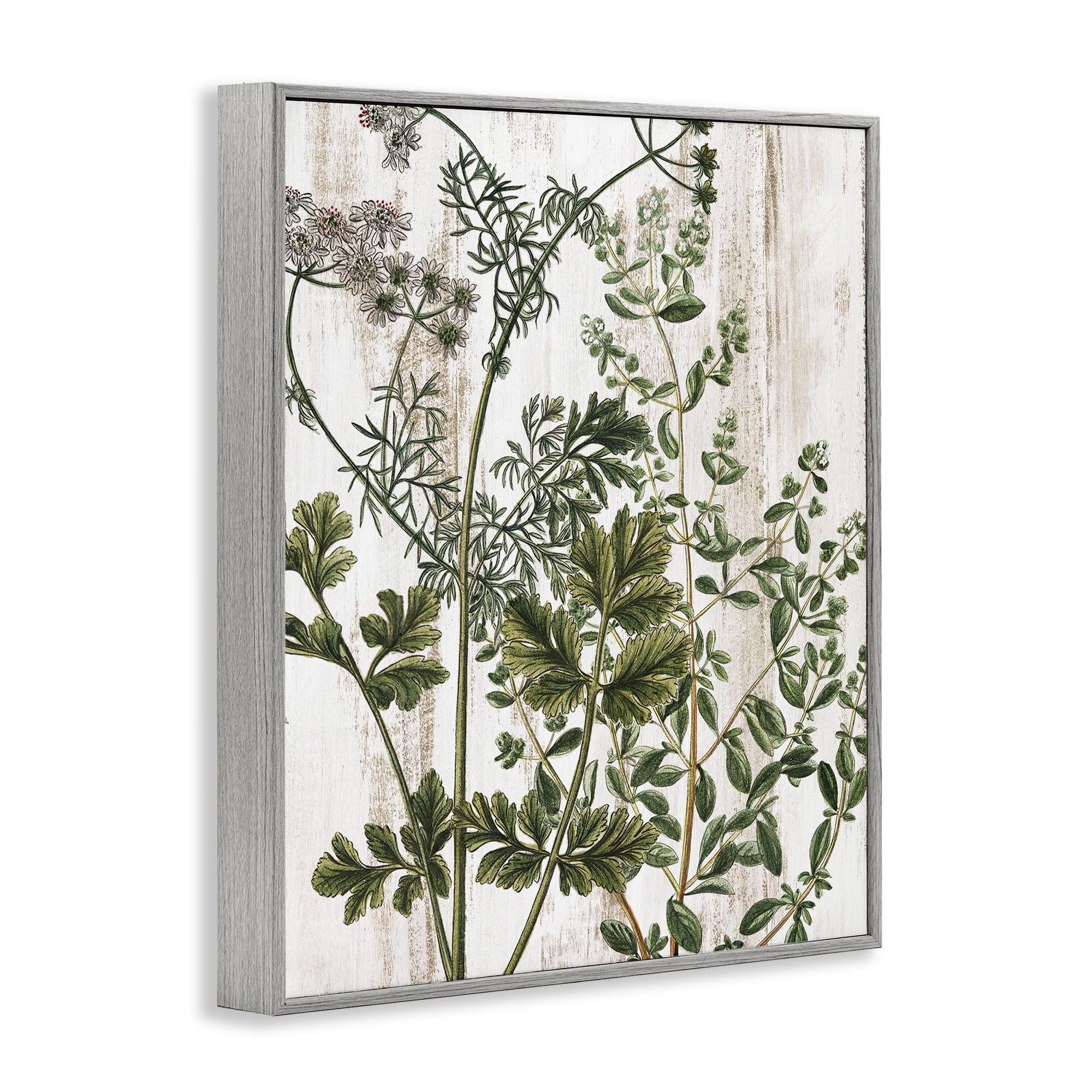 Stupell Industries Botanical Greenery Pattern Botanical & Floral Painting Gray Framed Art Print Wall Art, 16 x 20