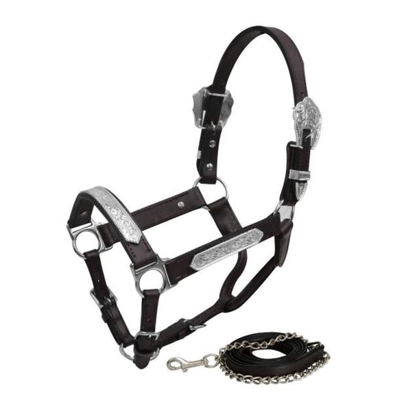 Showman Yearling Size Leather Show Halter w/ Engraved Silver Accents