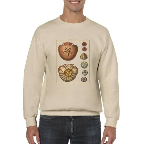 Sand Dollars Iv Sweatshirt Men -Denis Diderot Designs, Male Medium