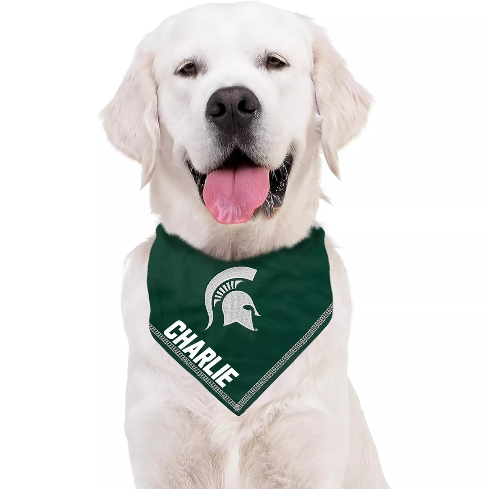 Pets First NCAA Personalized Tie Bandana for Dogs & Cats Sporty Dog Bandana