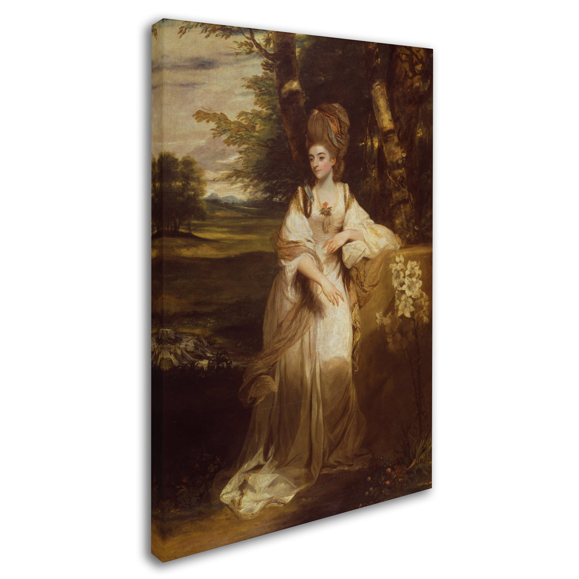 Sir Joshua Reynolds 'Lady Bampfylde' Canvas Art