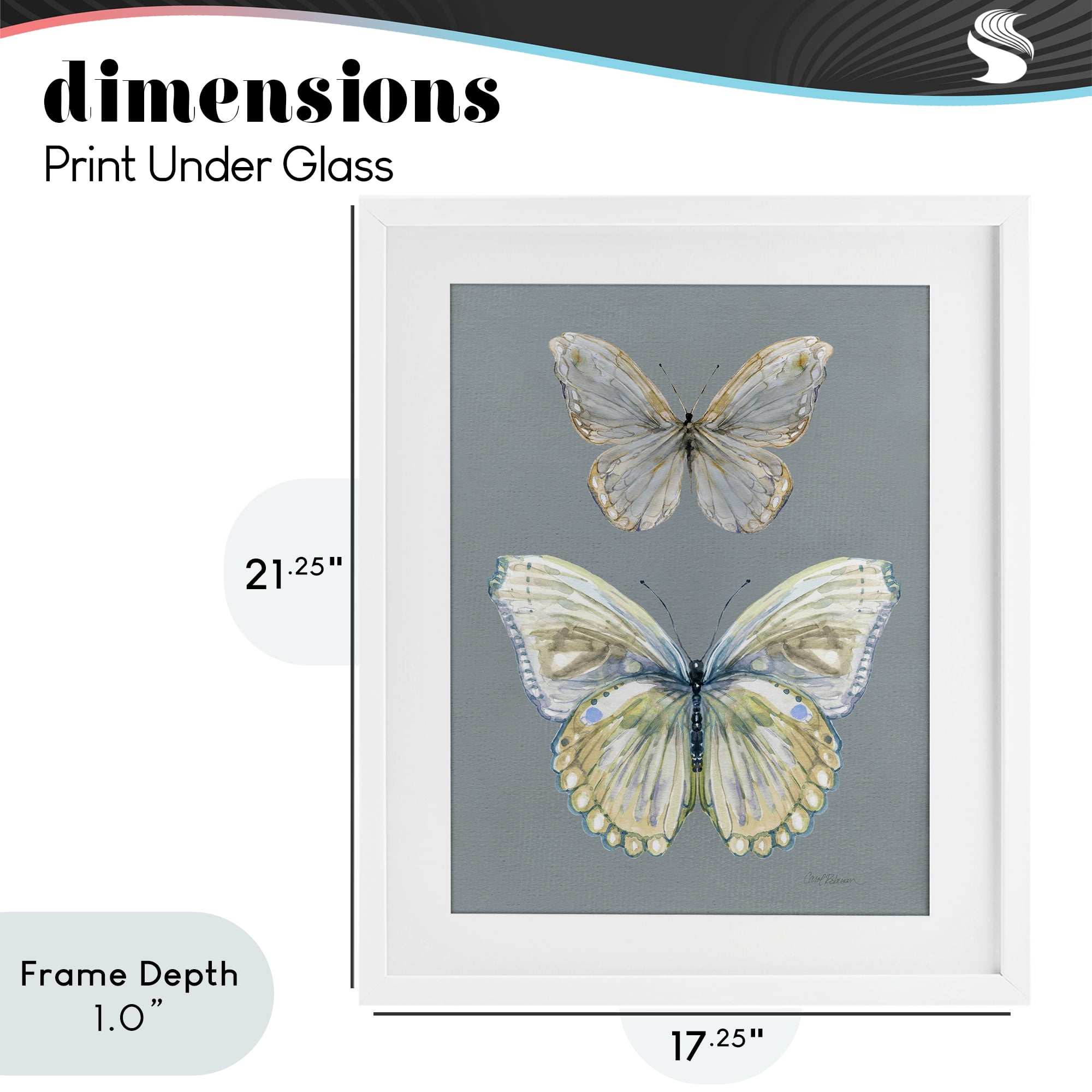 Stupell Industries Butterfly Pair Study White Framed Print Under Glass, design by Carol Robinson
