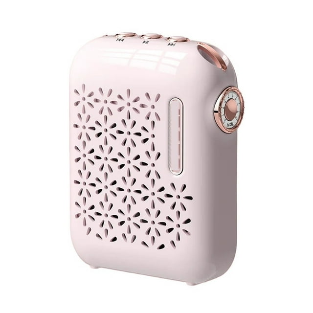 Wireless Wireless Amplifier Multifunctional Mini Portable Voice Speaker With Microphone Teacher Lecture