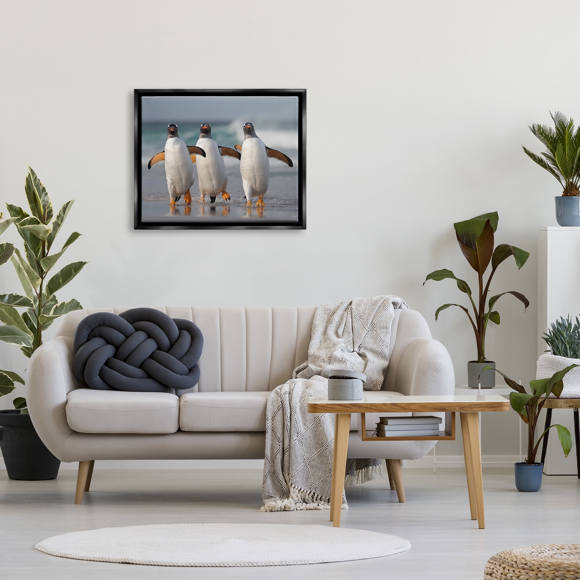 Stupell Industries Penguin Trio on Beach Animals & Insects Photography Black Floater Framed Canvas Art Print Wall Art, 31 x 25