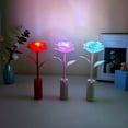 thumbnail image 4 of ZZkhGo Bear Rose LED Flower Night Light Romantic Table Lamp Gift for Valentine's Day Birthday Decorative Ambient Lighting, 4 of 5