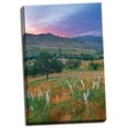 thumbnail image 2 of Gango Home Decor Caliente Bodfish II by Mark Geistweite (Ready to Hang); One 24x36in Hand-Stretched Canvas, 2 of 4