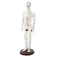thumbnail image 1 of TISHITA Acupuncture Model 20 inch Tall with Stand PVC Versatile Human Practice Model Male Soft, 1 of 8