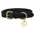 thumbnail image 1 of Benji & Flo Deluxe Leather Padded Dog Collar, 1 of 1