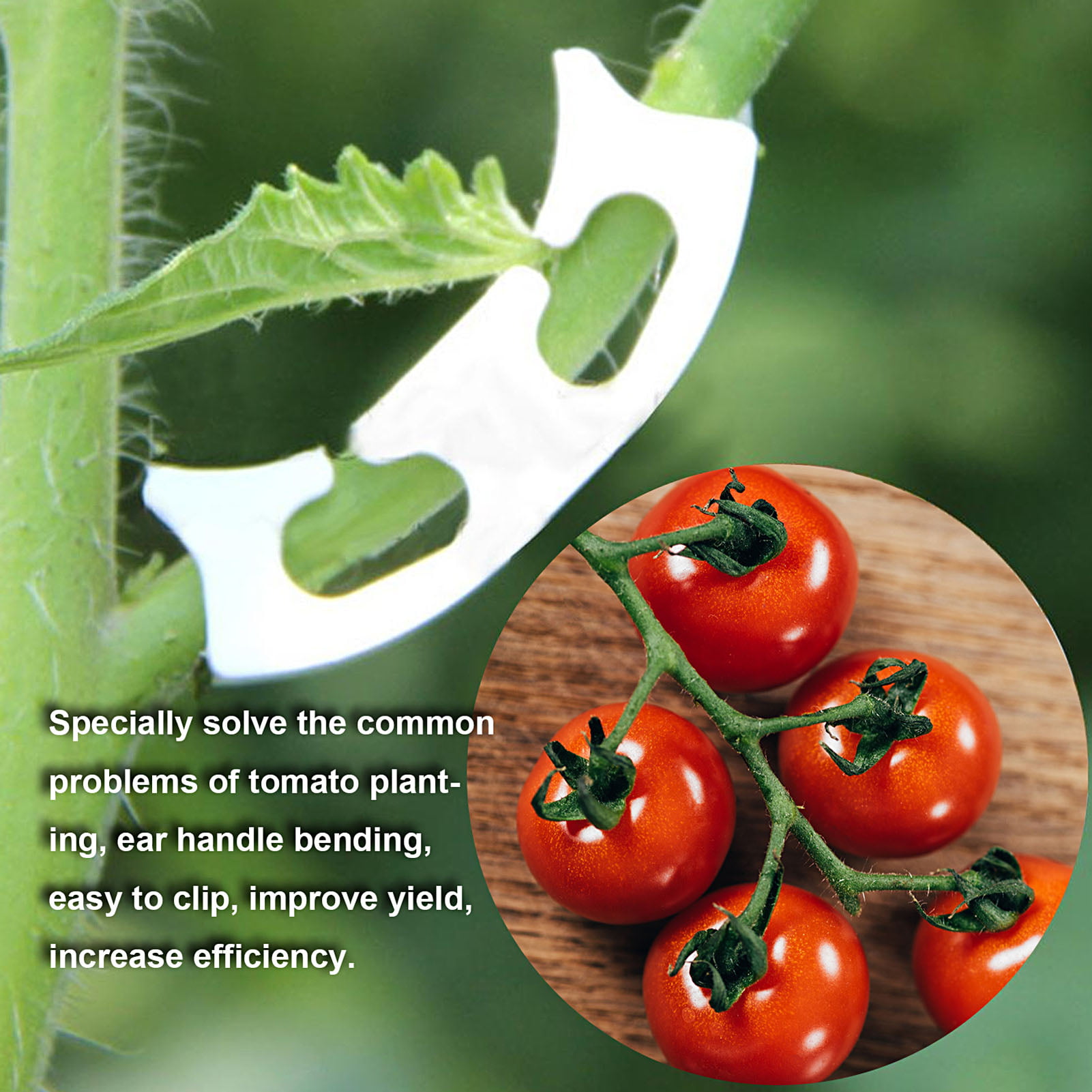 100Pcs Garden Vegetables Tomato Vine Stalks Grow Upright Support Plant Clips 