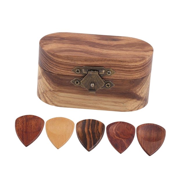 STARTIST Guitar cartridges Holder Organizer Portable Jewelry Organizers Storage Container case with 5 paddle