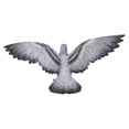 thumbnail image 5 of Hi-Line Gift Ltd. Grey Pigeon with Coloured Neck Statue, 5 of 7