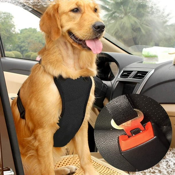 Sangle de sécurité voiture noir pour chien